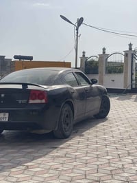 ويل عادي • مراوس • بويل كب