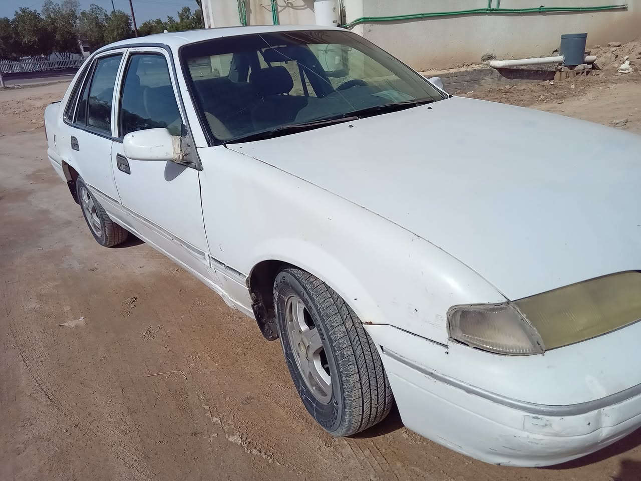 *********** القرنه الشرش الصويلح دايو فراشه للبيع
