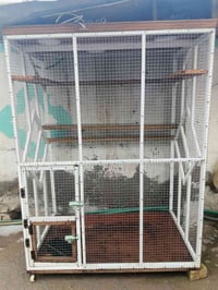 برج حديد • سيم بيارسي • بابل