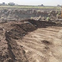 متوفر دمن مال دواجن حقول متوفر مال تربيه افراخ لحم ومتوفر مال تربيه بي...