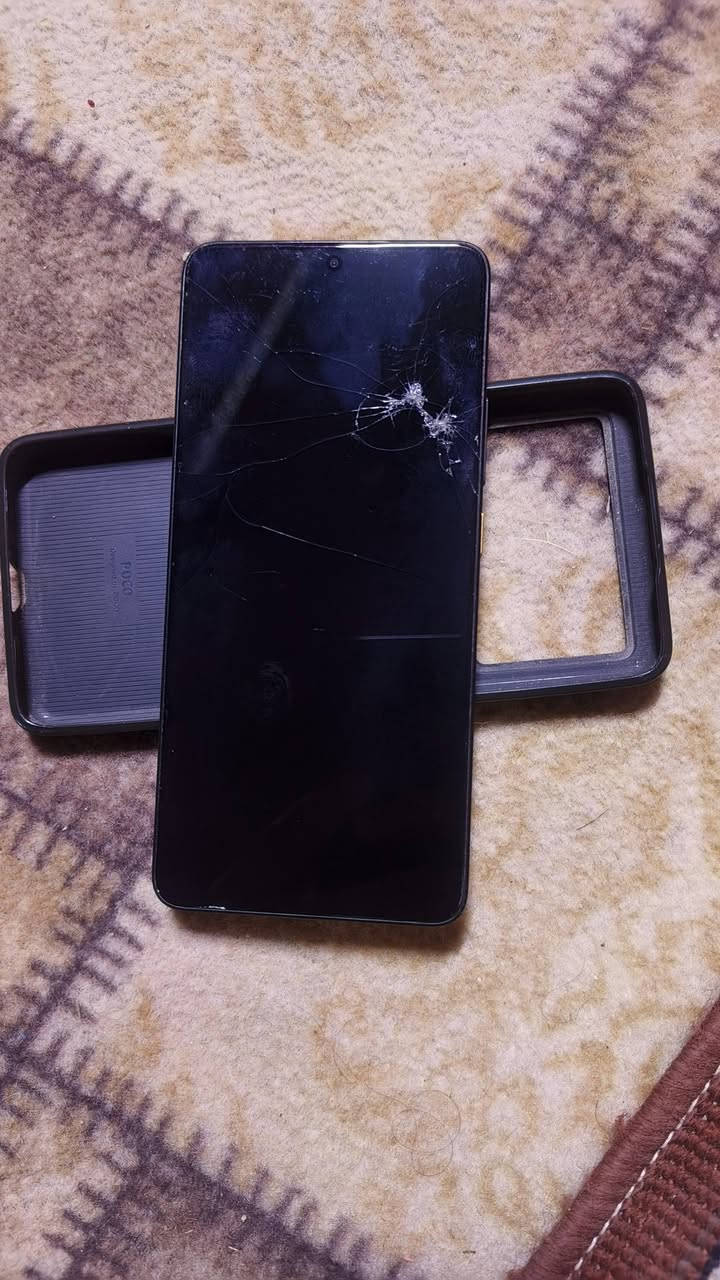 سلام عليكم
بوكو اكس 6برو فقط فطر بل حساب لا مآثر ولا شي لمس طبيعي كامل ملحقات سعره ١٧٠


**إذا كنت صاحب هذا الإعلان وتريد حذفه لأي سبب، رجاءا أرسل رسالة إلى الدعم الفني**