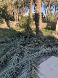 مجاناً • كرب طراف • قرية العمار