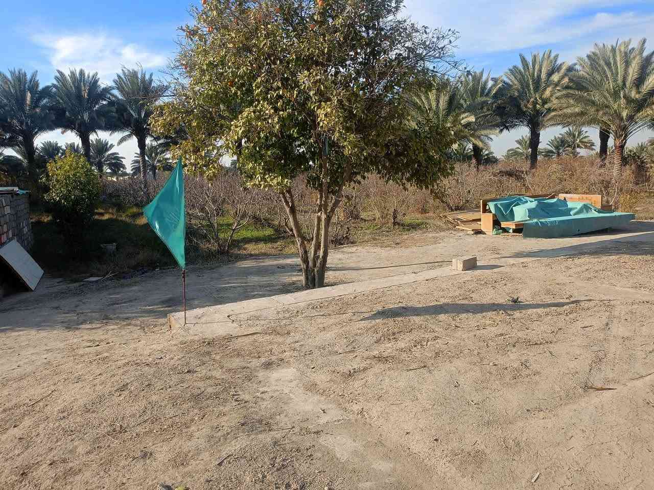 أرض زراعيه أربع دوانم للبيع
تبعد عن شارع 100 متر تقريباً 
كافة خدمات بيها 
مع بيت وبتلو
كهرباء/ مولد/ ماء 
مركز صحي / مدراس 
العنوان/بابل/ الكفل/ المراديه جدوع
السعر خاص 
للتواصل بنا اتصال على الرقم ***********
