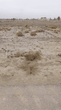 على بركة الله
#عرصه زراعي بمجمع الشبلاوي مساحة 450متر بالفرع الأول
#للأستفسار مراسلة الصفحة أو #الأتصال على الرقم ***********
