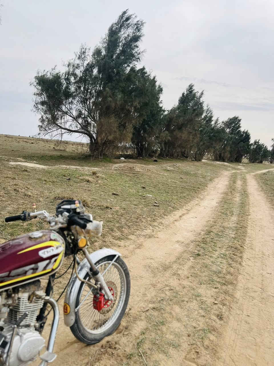 سلام عليكم
دراجه تايكر موديل ٢٠٢٣ لون ماروني دراجه كامله مكفوله من كلشي فقط نقص استان وسط 
مكان شهربان جسر عوني
هـ***********
س ع ر ٥٥٠ وبيها مجال
