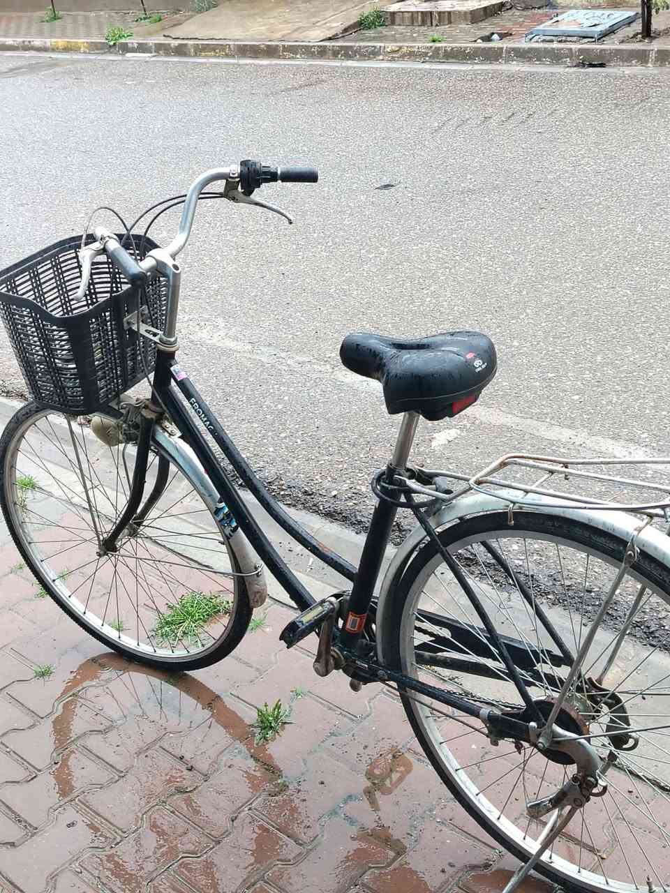 بايسل للبيع حجم 27 ياباني _عنواني كركوك طريق بغداد قرب حلويات الشكرجي


**إذا كنت صاحب هذا الإعلان وتريد حذفه لأي سبب، رجاءا أرسل رسالة إلى الدعم الفني**