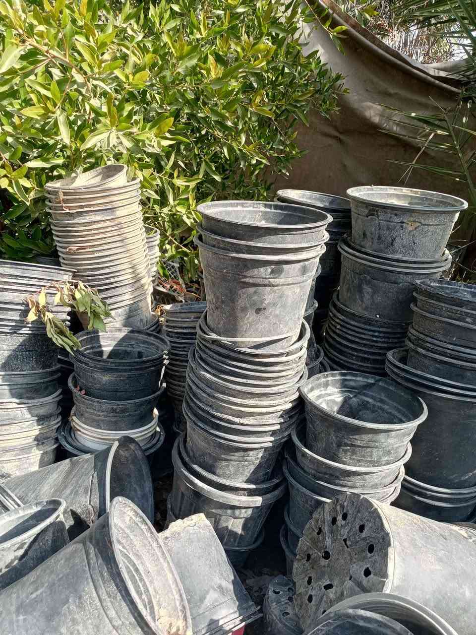 سلام عليكم سنادين زراعه للبيع ٨ بالف عندي عدد شكد ما تريد واني بخدمه الطيبين


**إذا كنت صاحب هذا الإعلان وتريد حذفه لأي سبب، رجاءا أرسل رسالة إلى الدعم الفني**