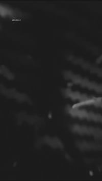 ناما • فول • ابو الخصيب