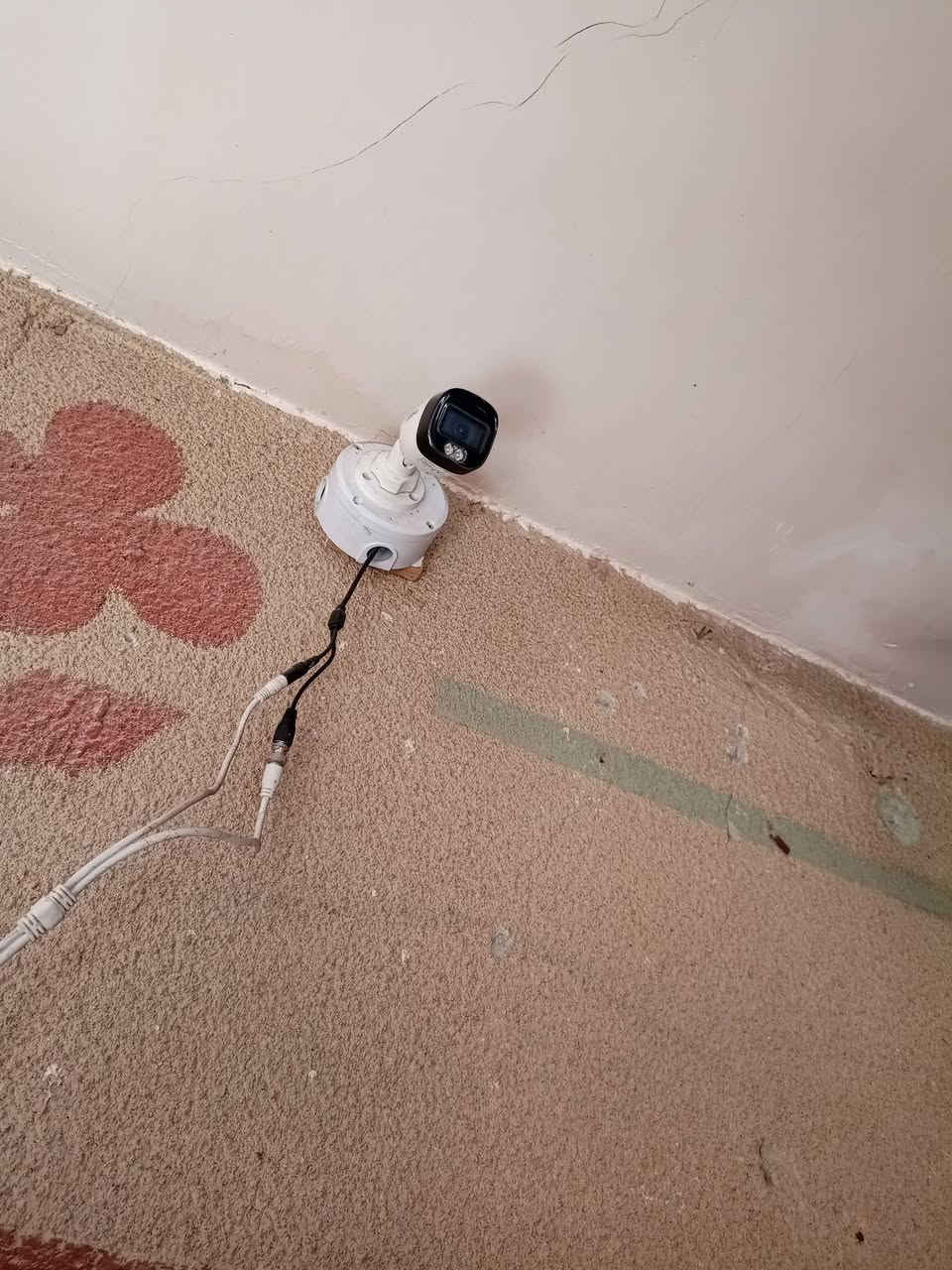 منضومه كامرات  كامله 4كامرات 
ام الفلاش  
مع الكيبلات وليوب بي اس
ستخدام شهرين فقط 
دقه وضوح  ع فحص 
السعر 200الف  
 حتا الكر اتين موجوده 
 بدون شاشه 

العنوان  حلة ناحية ابو غرق   
***********
