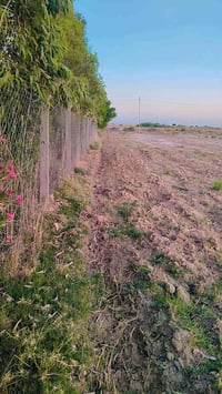 جهة الوافدين • دونم • زراعي