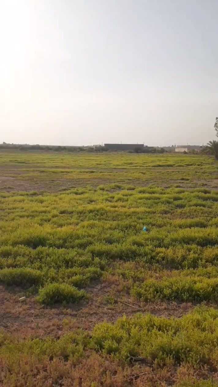 سعر الدونم مناسب جدا ***********
