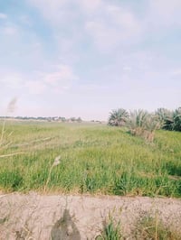 الدغاره • عقار للبيع