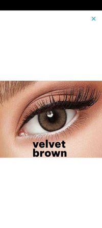 عدسات اينزو • فلفلت براون • سنوية