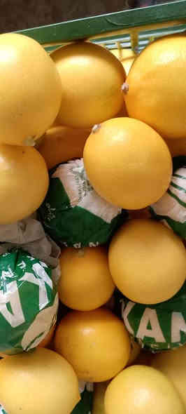 علوة ابو عدنان واولاده ترحب بكم
السلام عليكم ورحمة الله وبركاته
الهم صلي على سيدنا محمد واله واصحابه اجمعين وبفضل الله عزوجل وصلنا مسواق اليوم الثلاثاءولله الحمد
راوه فلكة البلديه ركن شارع الجسر بين الفرن ومكتب البساط الاخضر***********يوجد توصيل
فراوله موز  كيوي تفاح احمر
لالنكي برتقال ابو صره ليمون حامض
رمان يمني رمان سوري رمان مصري
طماطه خيار
بنجان سوري شجر سوري
بصل يابس اخروبنفسجيوابيض ثوم 
ادوات طرشي
لهانه حمره لهانه بيضه قرنبيط
شلغم شوندر تفاح القاع
رقي سوري بطيخ سوري قرع مال راوه
ودمتم حيكم الله واهلا وسهلابكم
