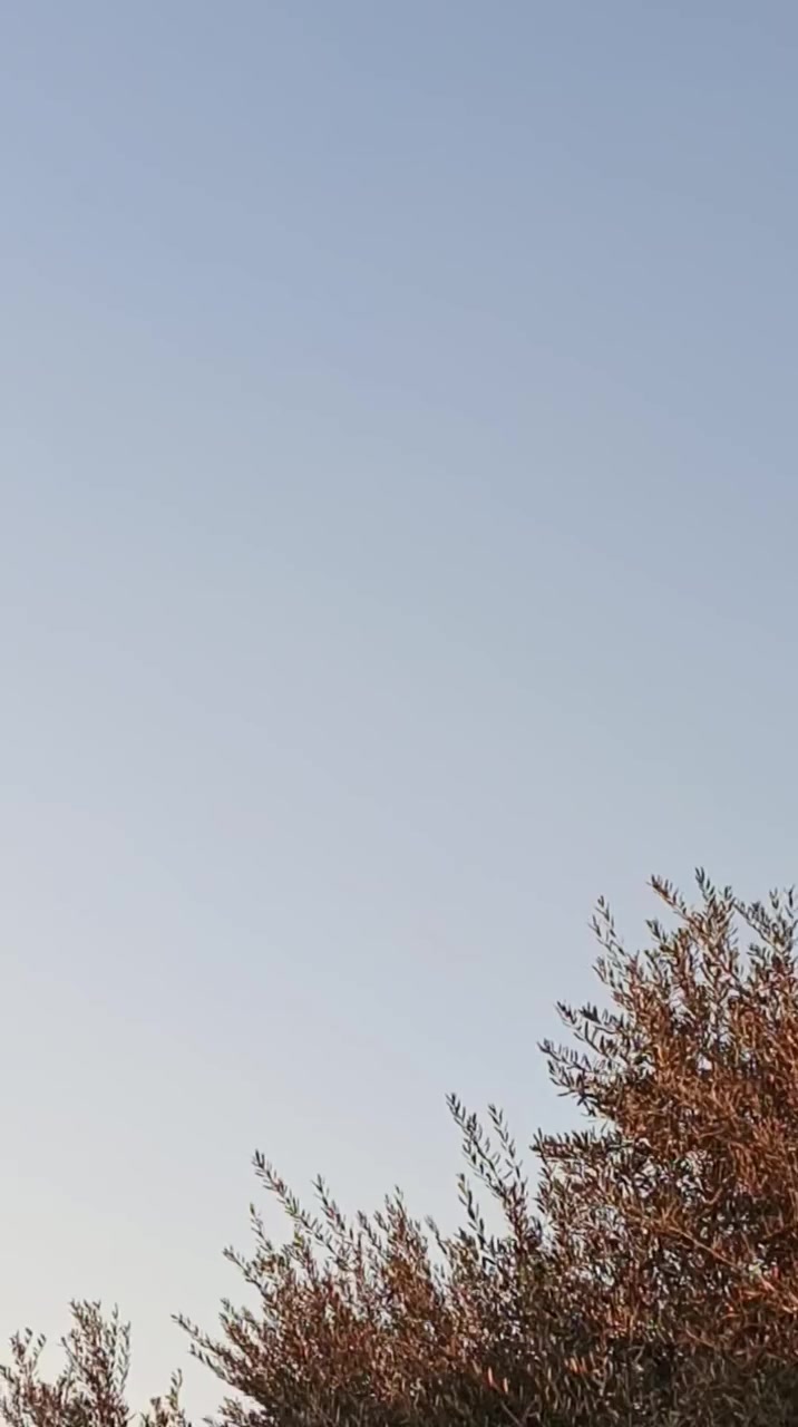 تايسلو موديل 99 ملخص على شهر 6 سياره نظيفه حاجه شويه صيانه للبيع او للبدل


**إذا كنت صاحب هذا الإعلان وتريد حذفه لأي سبب، رجاءا أرسل رسالة إلى الدعم الفني**