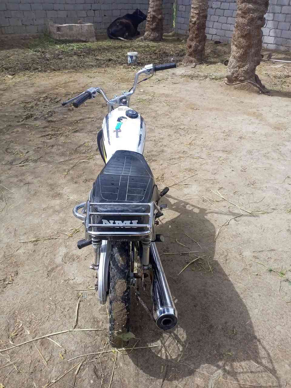 البيع دوانية سدر دغاره 300وبيه مجال كلك تريد اكاتبك تريد هيج
بكلشي وياك


**إذا كنت صاحب هذا الإعلان وتريد حذفه لأي سبب، رجاءا أرسل رسالة إلى الدعم الفني**