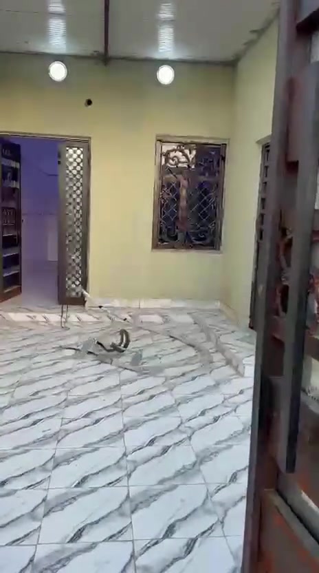 ‏بيت للإيجار تنومة شط العرب    الاكوات مقابيل النرجس محتويات الدار غرفتين وصالة واستقبال ومطبخ وصحي يات خارجية وداخلية وطار سعر الإيجار 500 شامل الماء والكهرباء يوجد واتساب ***********
