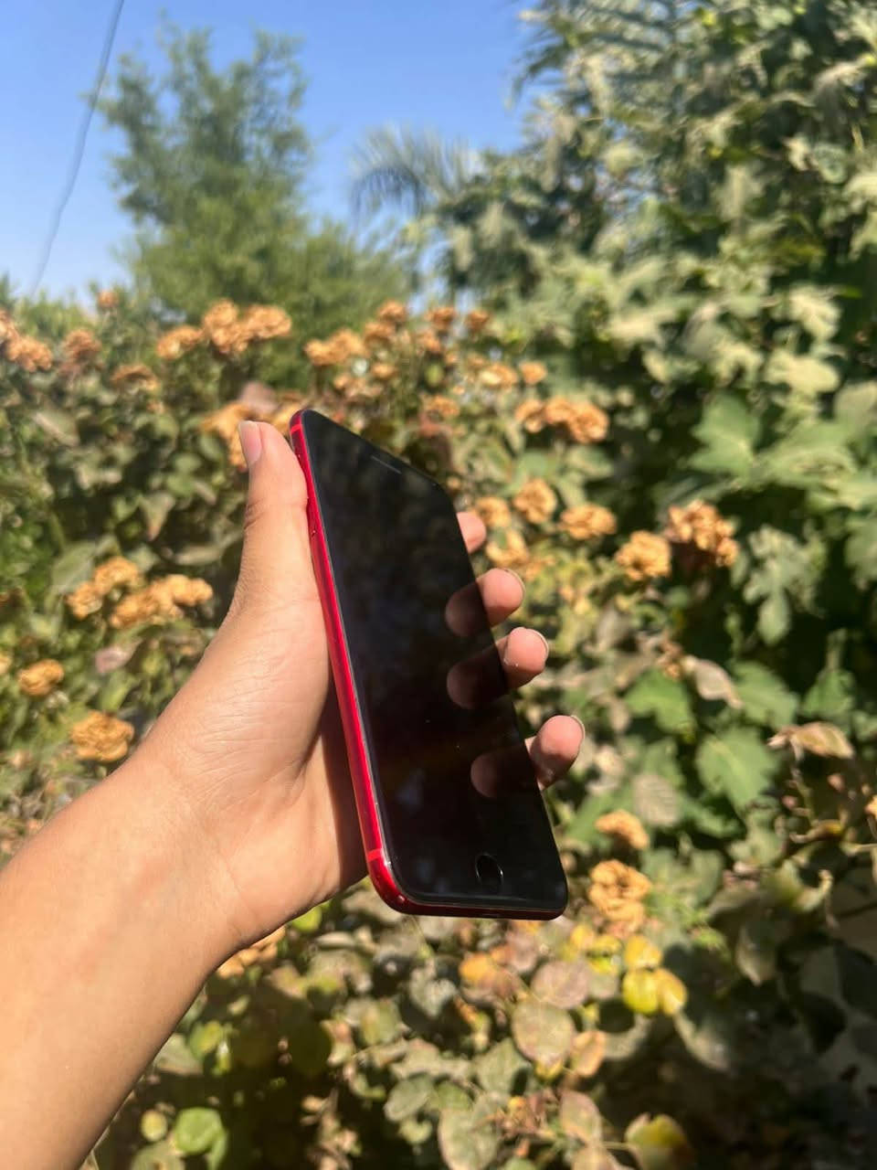 سلام عليكم
ايفون 8بلس 

بلادي شرق اوسط👌🏻

ذاكره256بطاريه70

الون احمرر زلغ مابي 

كله شغال قطعه مرتبه وماتتفوت 

بدون عطل او مشكله اتصال ✅️سيمكرت ✅️

فيس ايدي✅️كامرات✅️بدون عطل او مشكله 

تجي تفحص لحد ماتمل نضافه الشاصي ميه بلميه

ضهر بلادي كامرات كزاز  

شاشه 3خيارات غير مستبدل شرط الالوان والدقه 

يرهم مراوس او بيع مكاني صلاح الدين تكريت  السعر 170وبي مجال للستفسار اكثرر ***********
