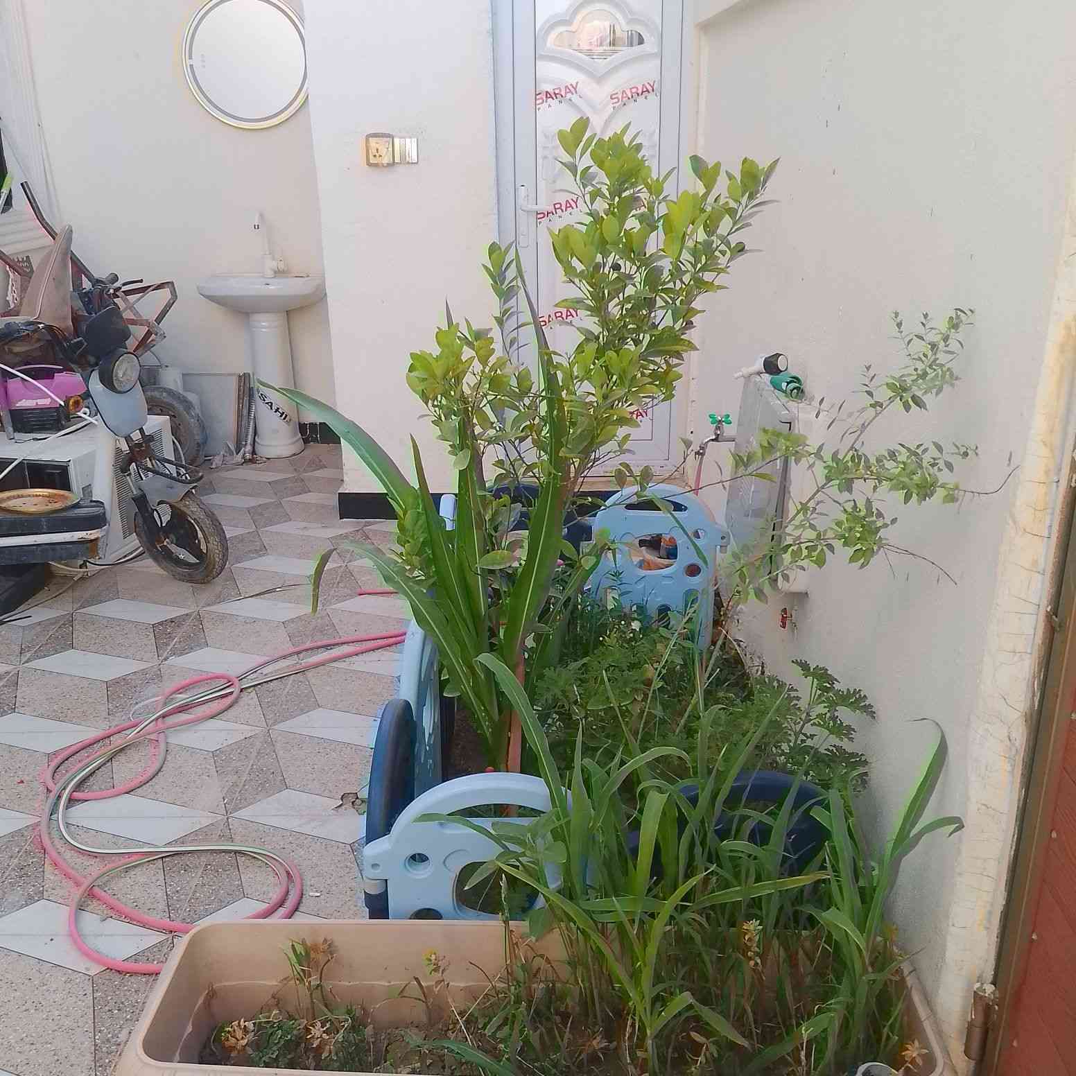 بسم الله الرحمن الرحيم
السلام عليكم 
دار للبيع البصرة ابو الخصيب شارع سيد حامد قرب مدينة الاندلس  مساحة الدار 160 طابو سهم وكالة مباشر من صاحب الارض منطقه حلوة قريب على الشارع العام مسافه 150 متر بناء حديث منطقة حديثه عرض الشارع 10 متر ولجهة الدار 8م نزال 20م يحتوي على 2 غرف نوم 5×4 +صالة 7×6+مطبخ 4ونص×4+ ديوان 6ونص×4 + كراج سيارة +صحيات داخل وخارج مع ديقه صغيرة تاريخ البناء في شهر الثاني 2026 منطقة هادئة وخدمات كامله ماء مشتمر كهرباء مستمره للأتصال ***********
