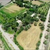 حله نجف • ٢٥ دونم • طابو ملك صرف