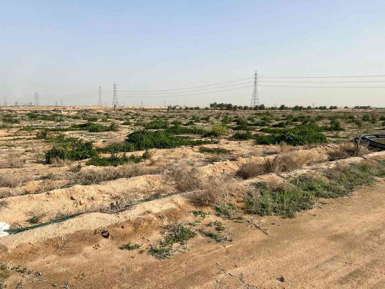 السلام عليكم وارحمة الله وابركاته
مزرعه للبيع 33 دونم  عقدزراعي طريع ياعلي عامود 349 البعد الثالث 
متوفر … غرفتين 2 … كهرباء … بير عدد 2 … حوض ماء خزن … طاقه شمسيه
نخل ٫ نبك ٫ زيتون 
للستفسار اتصل ع الرقم *********** متوفي واتساب
