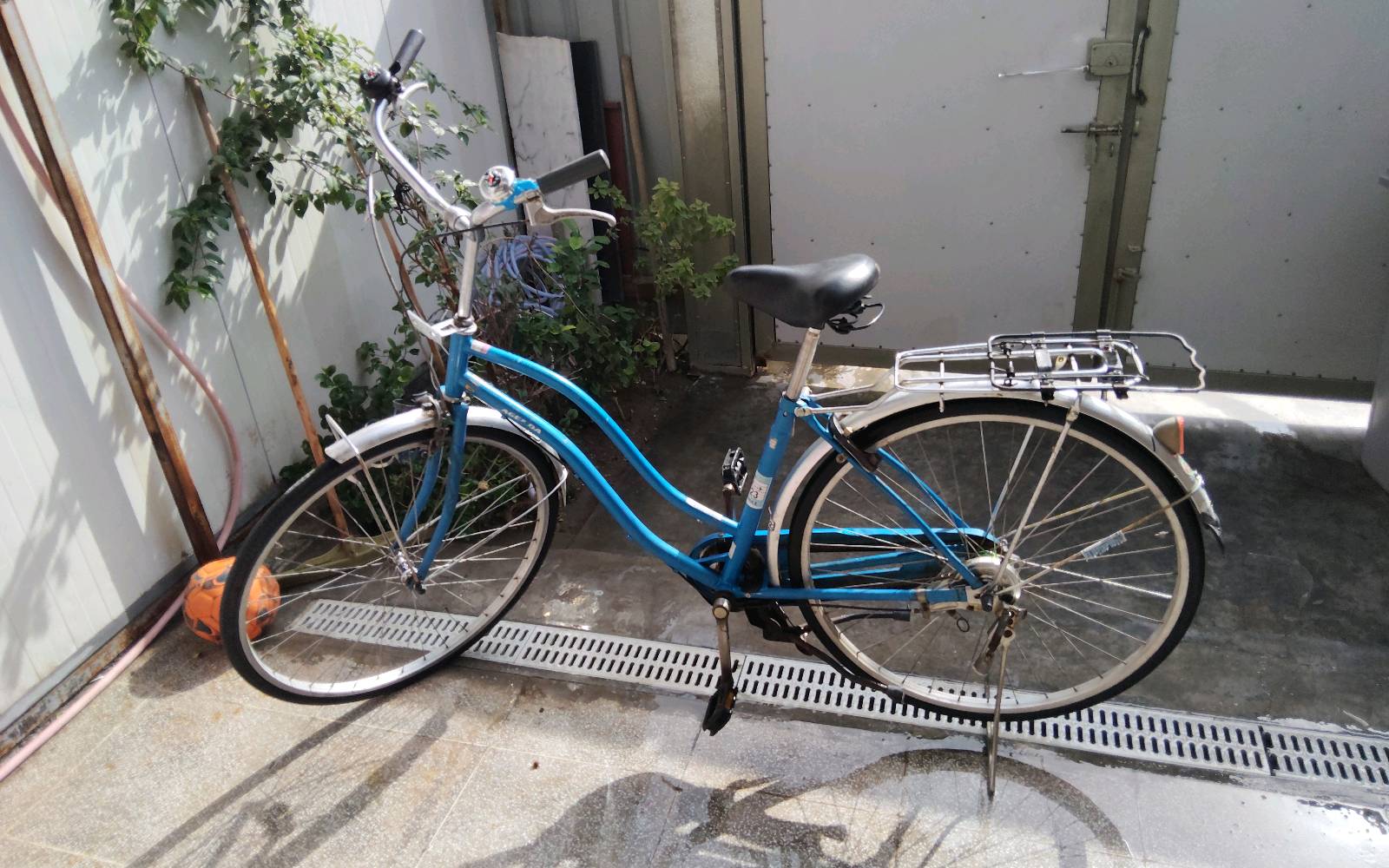 الزعفرانية الرشيد