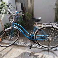 الزعفرانية الرشيد