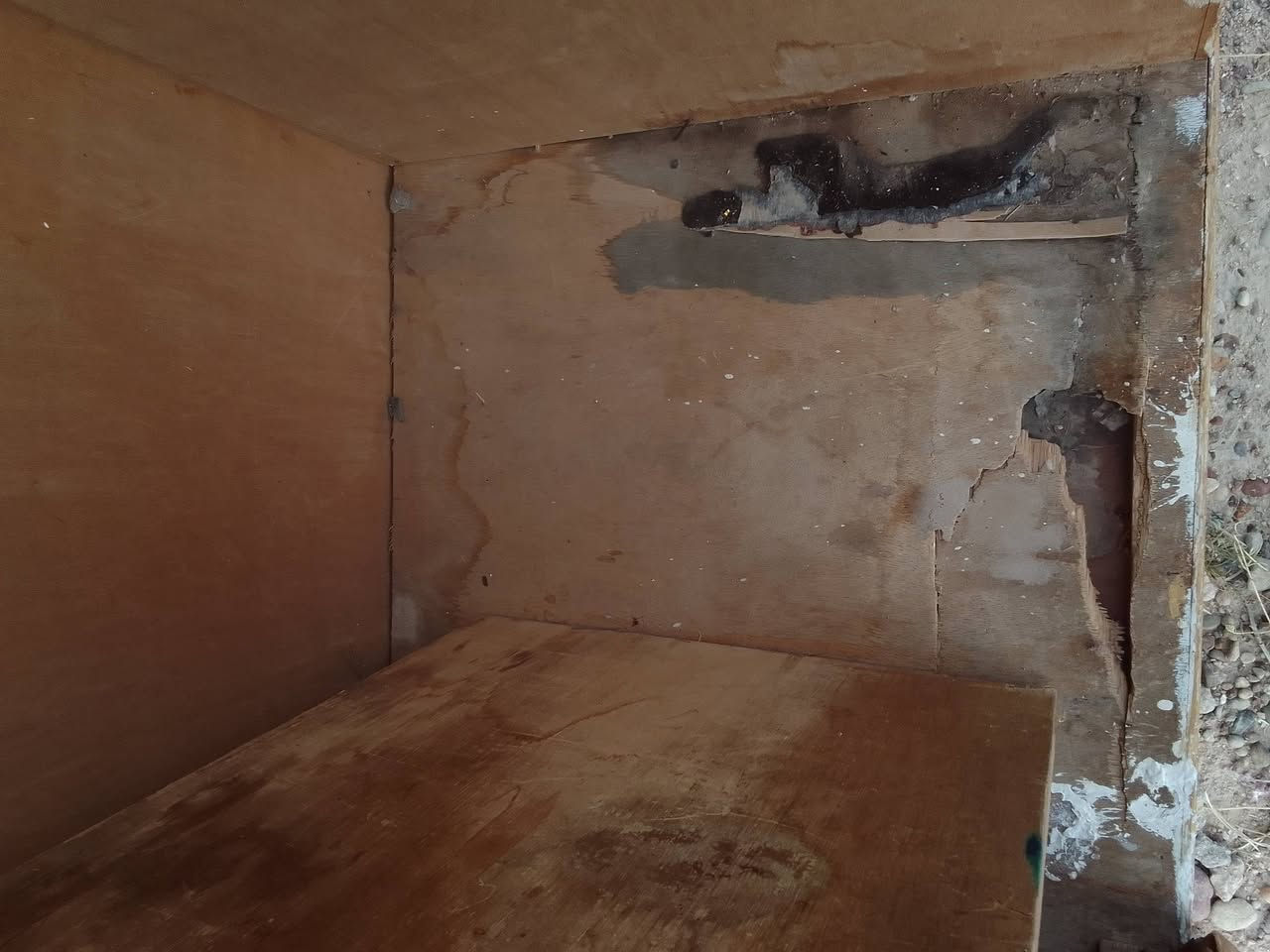 كانتور لبيع سعر ٢٥


**إذا كنت صاحب هذا الإعلان وتريد حذفه لأي سبب، رجاءا أرسل رسالة إلى الدعم الفني**