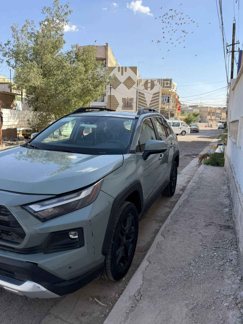 السلام عليكم. تيوتا راف فور موديل 23 وارد امريكي موصفاته معروفه السنوار مرفق مع الصور عارضه 230 ورقه وبيه مجال رقم بغداد الدولي  المكان بغداد العامريه الاتصال مع صاحب السياره اني مكلف بلنشر بيع او مراوس براف فور هايبرت ***********
