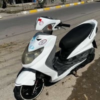 سكنس • فحل • نفخ
