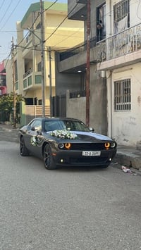 جالنجر ٢٠٢٣ • اسود • مرقم شمالي