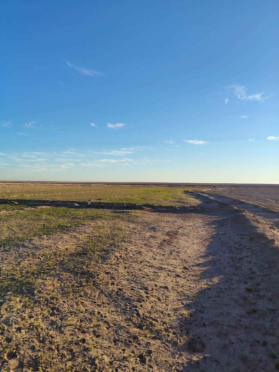 السلام عليكم كاع للبيع 250 دونم بل كصير ***********
