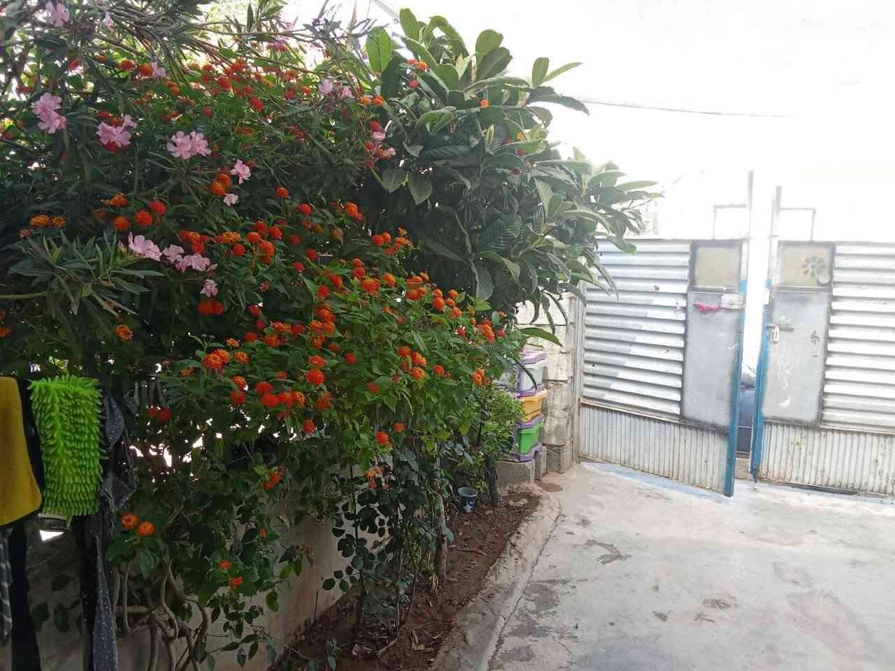 السلام عليكم 
خانوو بو  فرۆشتن
♦️ شوێن کەلار / کەلاری كۆن
♦️ ڕووبەری 6 بە 20 = 120 مەترە 
🔶 کامل ژورەکانی مەترو بیست کاشیە
🔶 دەرگای ژوورەکانی ئەسڵی تورکیە
🔶 ژوورەکانی ئەم خانووە پێکهاتووە لە :👇
🔶 میوان 🪑🚪
🔶 مساعد مەتبەخ 🍽️
🔶 مەتبەخ 
🔶 هۆڵێک 🖼️
🔶 دوو ژووری نوستن 🛋️🛏️
🔶 مشتەمەلات 🛁🚿
🔶حەوشەی گەورە و دەرەجی خارجی ە
🔶 کۆڵانی فراوانە و ڕووی خۆری بەیانیە .
👈ئەم خانووە نرخی زۆر مناسبە
 ٣ دەفتەر و کەمێک مەعمەلە .
________________________
 ئێوەی بەڕێزیش گەر موڵکتان هەیەو دەتانەوێ بیفرۆشن یان دەتانەوێ بەکرێ ی بدەن پەیوەندیمان پێوە بکەن یان تەواوی زانیاریەکان بۆ ماسنجەر یان واتس ئاپی ئەم ژمارەیەی خوارەوە بنێرن 👇

📌 ناونیشانی تەواوی موڵکەکەت
🏡 چەن وێنەیەکی موڵکەکەت
💲 نرخی موڵکەکەت
پپەیوەندیمان پێووەبکەن
***********
