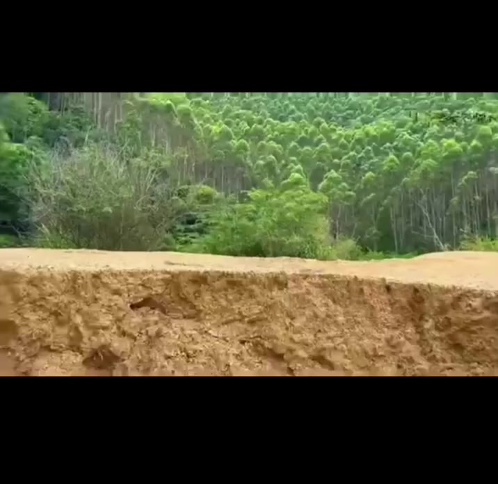 سيتره حترافيه  ٥٥ شامل توصيل


**إذا كنت صاحب هذا الإعلان وتريد حذفه لأي سبب، رجاءا أرسل رسالة إلى الدعم الفني**