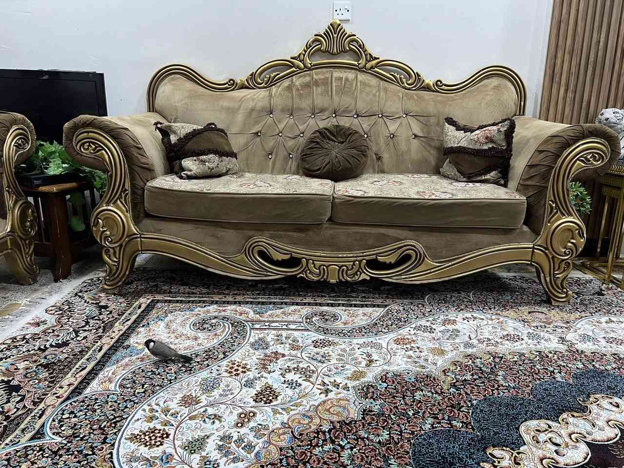 سلام عليكم تخم ملكي بحاله جيده صنع عراقي عمل محلات الدر
السعر 600 قابل التفاوض العنوان بغداد الشعب اتصال ***********
