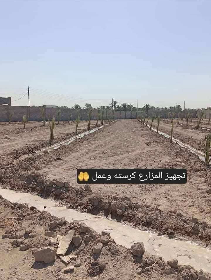 السلام عليكم  كادر متخصص لتجهيز المزارع والمنتجعات والمسابح  تجهيز الحدائق والبساتين تشجير الحدائق تشجير البساتين لدينا جميع انواع النخيل برحي مكتوم جبجاب بريم بلكه بربن جميع انواه النخيل و ترتيب الاراضي المتروكه وتسميدها بالسماد الحيواني وعمل منظومات تقطير نعمل في جميع محافظات العراق ***********

