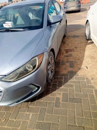 النترا • ٢٠١٧ • وارد امركي