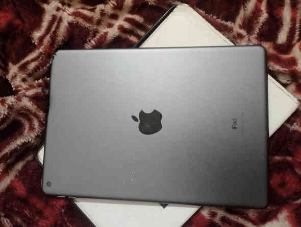 ايباد 9. بطارية 91.. ذاكرة 64.السعر 200وبي مجال. مستعجل علة. بيعتة..   مكان. كربلاء
