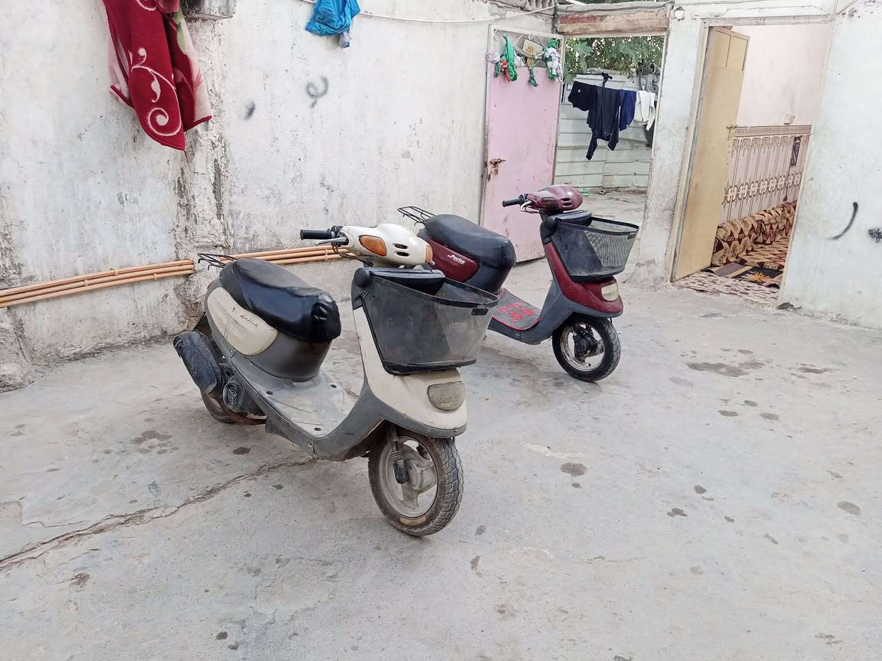 دراجه منغولي 2003 محرك ما مفتوح العنوان كربلاء حي الغدير دراجه كله شغال محرك بلادي العنوان كربلاء حي الغدير السعر 400 وبيها مجال والشرايين اتصل على الرقم ***********
