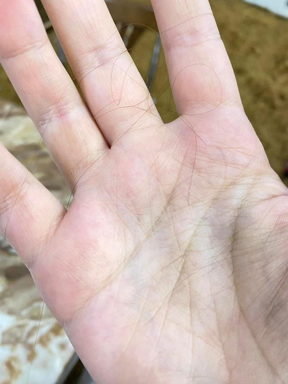 ***********
عفيه ليش محد يرفعلي منشوري حسبوهي لوجه الله ورفعو المنشور حتى لو بحرف  والله هذا باب رزقي
ولله العضيم اطيجن زيت للرجال وللنساء  اذا ماطول وقف الساقط وثخن شعررج وحق العباس  فلوسج تررجع زيت بل عشاب يجنن وريحته  تخبل اخمره مده سبوع يلا ابيعه ينطي مفعول اكثر 
تدعلي واني حلفت بعد
 هاي نتيجه شعري ونبي يجنننن واني من احلف حته اخلي اهل البيت كبال عيني وتغررني الفلوس وغش العالم وماكل حق غير
