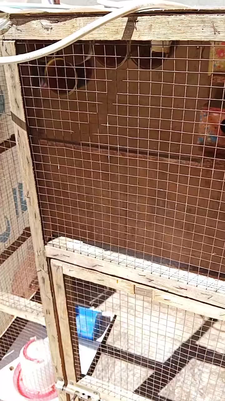 سلام عليكم قفص للبيع مكان نحف مال فناجس لو طيور حب سعره خاص؟ ***********
