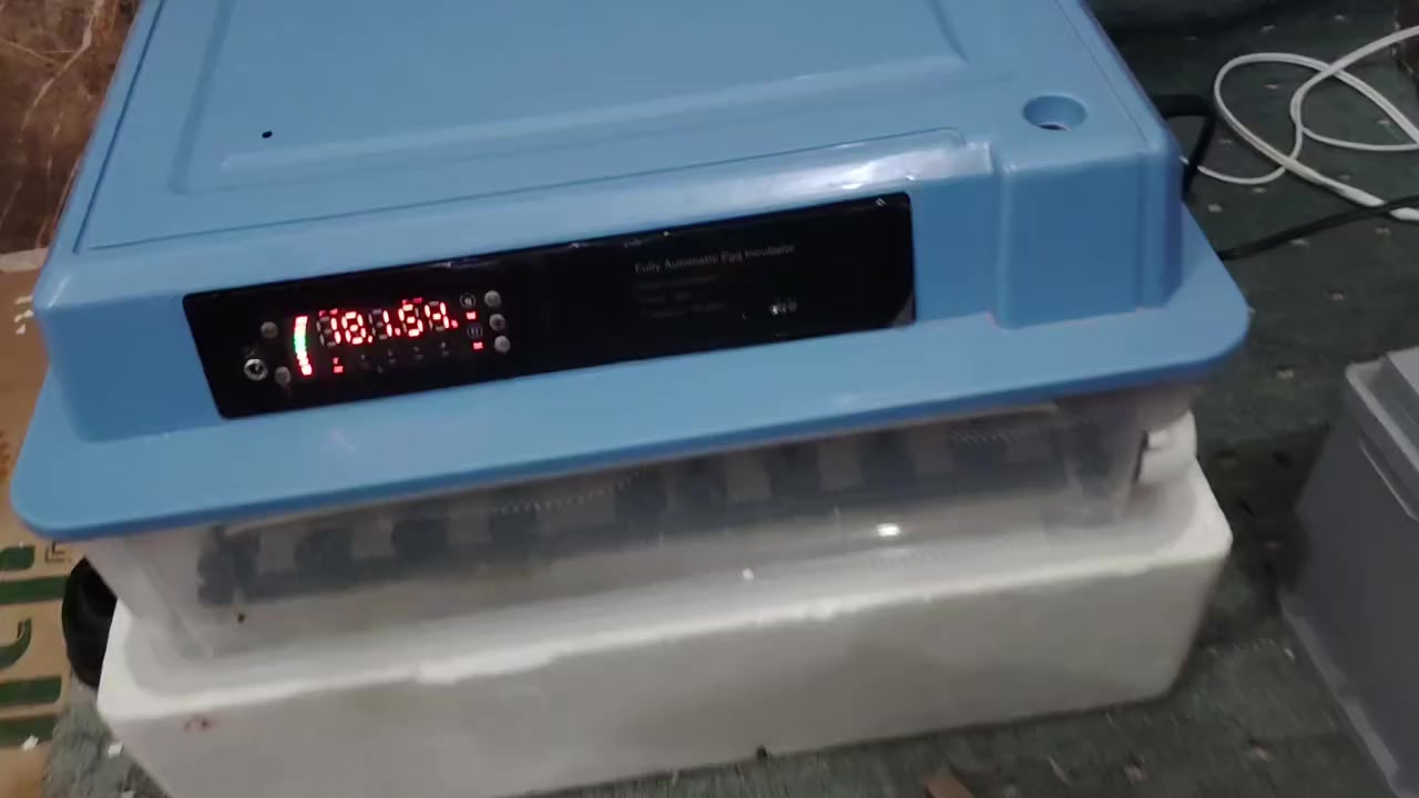 مقفاس للبيع بسعر مناسب يأخذ 120 بيض اوتوماتيك فول الي يريده يجي خاص او يكتب بل تعليق


**إذا كنت صاحب هذا الإعلان وتريد حذفه لأي سبب، رجاءا أرسل رسالة إلى الدعم الفني**