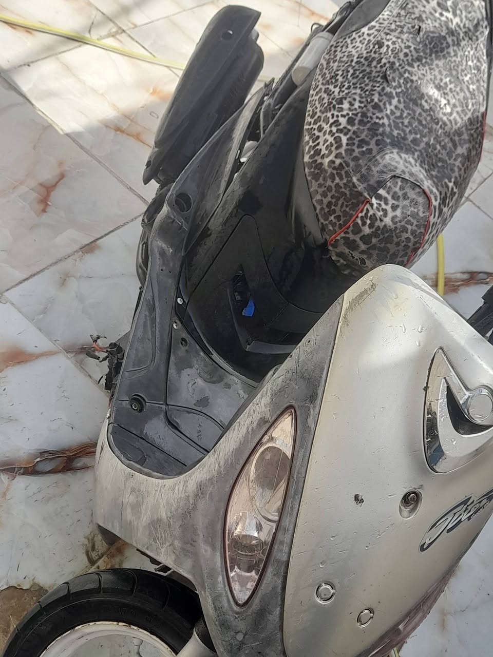 ماكس منغولي مفتوحه ولفات فقط للبيع ناصريه مركز ***********
