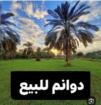 زراعي • دونم ٥٠×٥٠ • الخميسات