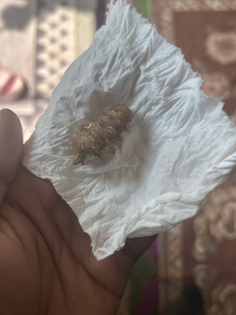 ملوي قديم ذمه /قيم واخذ يعطي سره للمشتري


**إذا كنت صاحب هذا الإعلان وتريد حذفه لأي سبب، رجاءا أرسل رسالة إلى الدعم الفني**