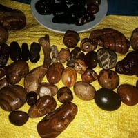 نوادر الروحانيات • اجواء روحانيه • عالم الطبيعه