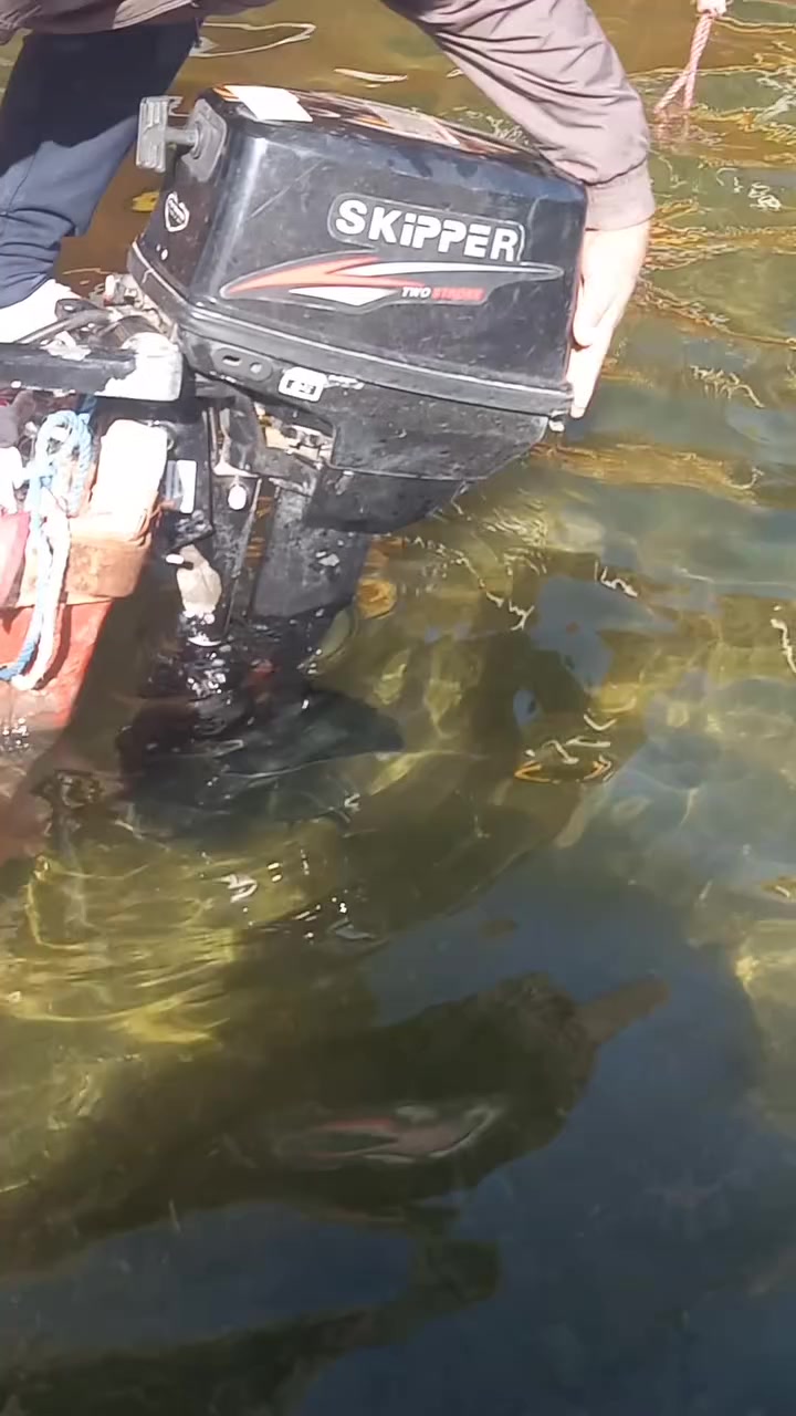 السلام عليكم جينكوه فيبر كلاس مع مكينه ٨ حصان للبيع السعر مليون وربع وبيه مجال للشراء رقم الهاتف *********** واتساب
