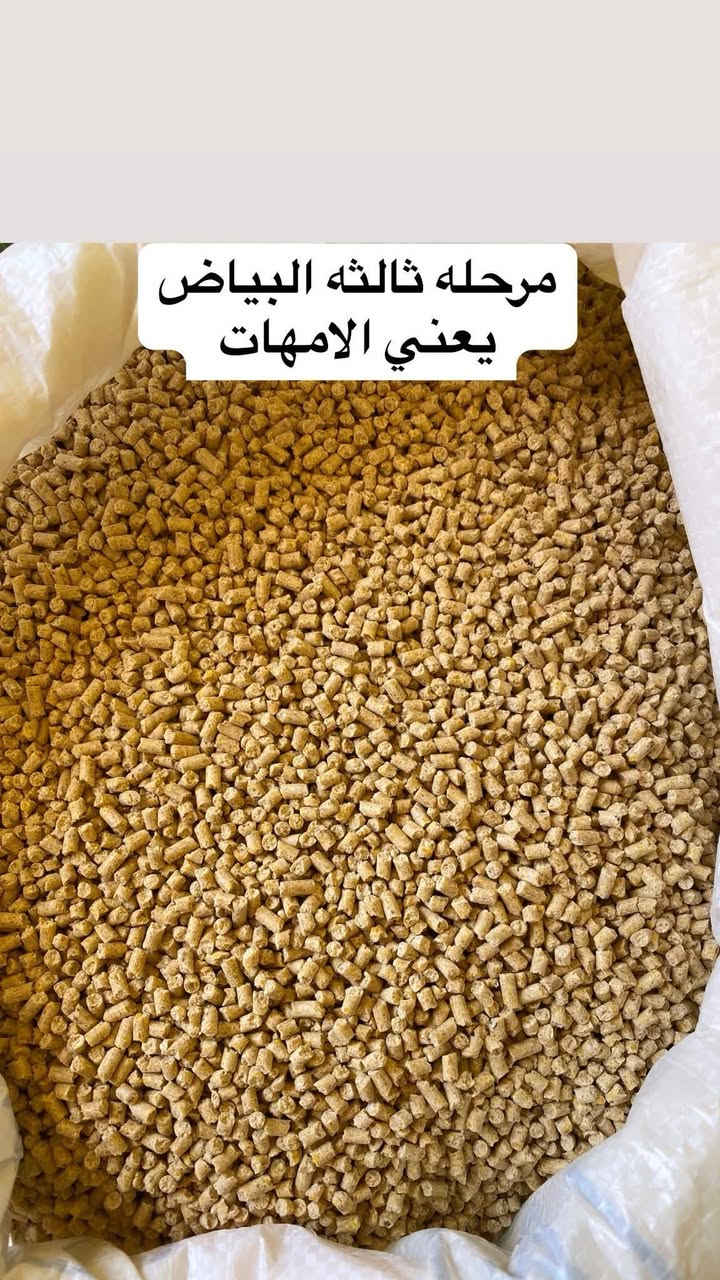 توفر لدينا اعلاف تاج وباج لدجاج البياض 
لدجاج الزينه
دجاج هراتي
دجاج عرب
المكونات
المكونات

برمكس ايطالي وبلجيكي مضاد سالومونيا وايكولاي مضاد كوكسيديا بكل انواعها رافع سموم فطرية ومضاد تعفن وتسمم وفطريات فاتح شهية ورافع مناعة ديجستروم وخميرة تياكس احماض امينية ومعادن وزنك فيتامين وكالسيوم هيدرو بروتين لايسن نيتونين كولين كلورليد مضاد اكسدة - حنطة - ذرة صفراء -
نسبة الصويا - زيت الصويا - ملح طعام مع ٦ انواع أعشاب طبيعيه
عيادة الرحمه البيطريه 
د. بهاء الدين الاعرجي
للاستفسار الاتصال على ***********
الأسعار
مرحله أولى ٢٧ الف
مرحله ثانيه ٢٧ الف
مرحلة البياض امهات ٢٧ الف
مرحلة سوبر بياض ٢٧ الف
