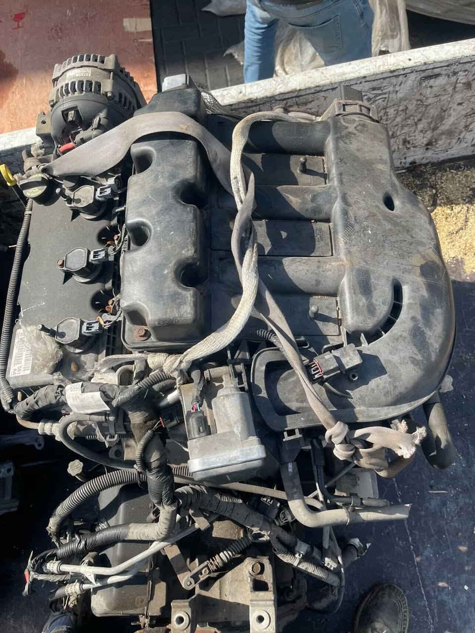 🚚 وصول غرض جديدة 🚚
تعلن شركة المشايخي عن وصول غراض 

متوفر الآن في شركة المشايخي

🛠️ متخصصون بقطع غيار دودج المستعملة 🛠️

نوفر جميع قطع الغيار (ميكانيك – كهرباء – بدي) للسيارات التالية:

دودج كرفان من موديل 2001 إلى 2020• 
دودج جورني من موديل 2008 إلى 2020• 
دودج افنجر من موديل 2008 إلى 2014• 
من موديل 2008 إلى c200 2017

✅ فحص كامل وضمان نظافة القطع
✅ أسعار مناسبة للجميع
✅ شحن سريع إلى جميع المحافظات

📞 للطلب والاستفسار
:واتساب: ***********

📍 العنوان: بغداد – الطالبية
مقابل بدالة 14 تموز
