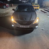 سوناته • ٢٠١١ • امريكي